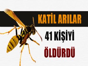 KATİL ARILAR 41 KİŞİYİ ÖLDÜRDÜ