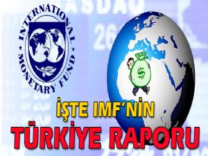 IMF 'nin TÜRKİYE RAPORU