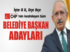 CHP'NİN ADAYLARI