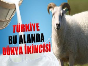 TÜRKİYE BU ALANDA DÜNYA İKİNCİSİ