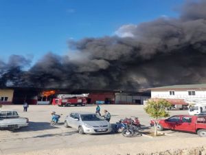 ALANYA'DA  2 AYRI NOKTADA YANGIN